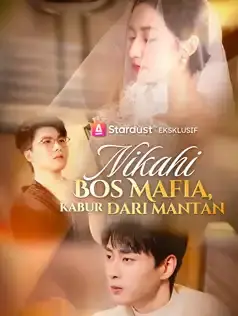 Nikahi Bos Mafia, Kabur dari Mantan Full Episode Subtitle Indonesia - Dracinema