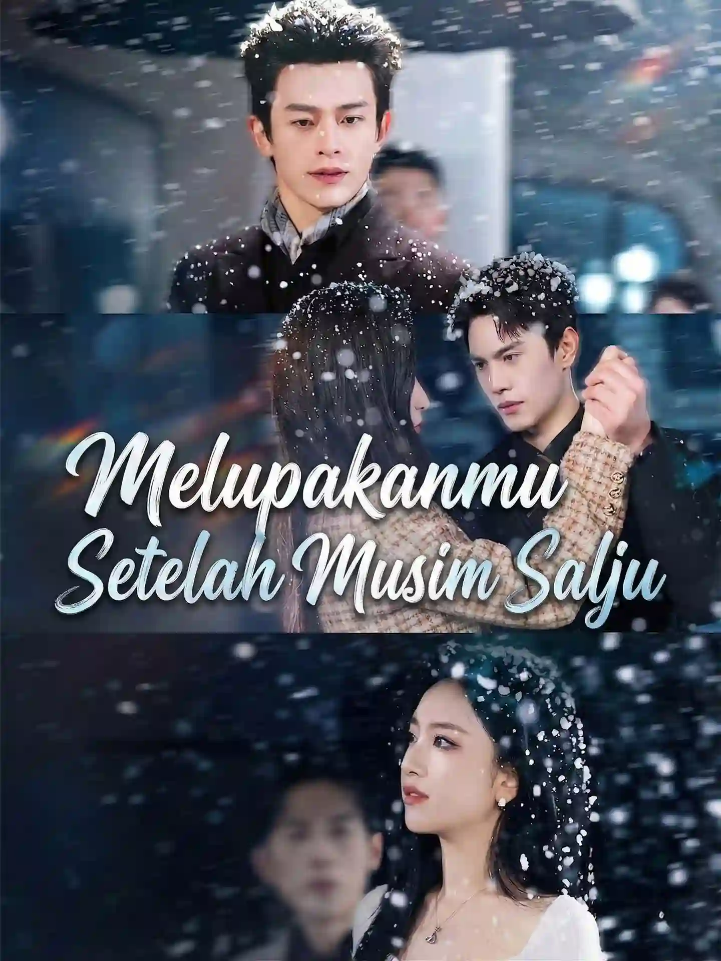 Nonton Melupakanmu Setelah Musim Salju Subtitle Indonesia