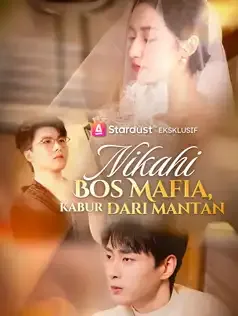 Nikahi Bos Mafia, Kabur dari Mantan Full Episode Subtitle Indonesia - Dracinema