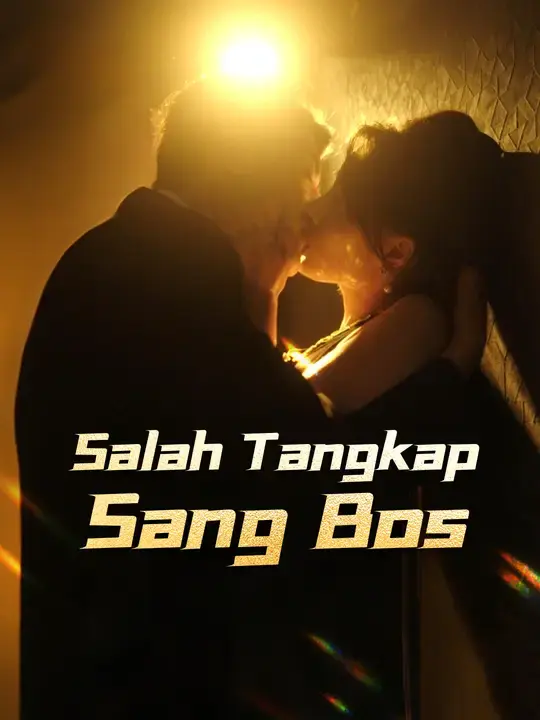 Nonton Drama China Salah Tangkap Sang Bos - Full Episode Subtitle Indonesia Gratis