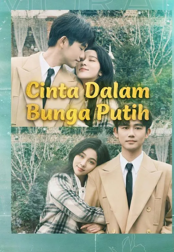 Cinta Dalam Bunga Putih