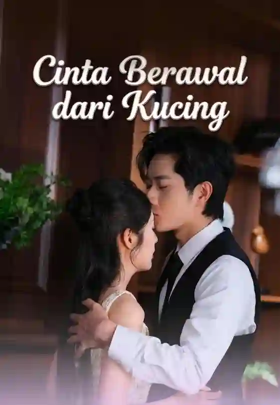 Nonton Cinta Berawal dari Kucing Subtitle Indonesia