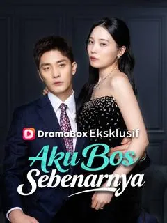 Aku Bos Sebenarnya Full Episode Subtitle Indonesia - Dracinema